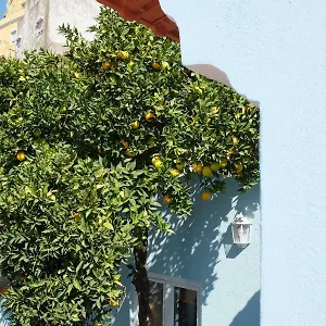 Proa D'alfama , Lisboa Portugal